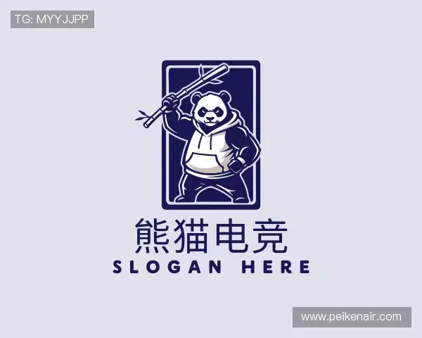发现熊猫电竞