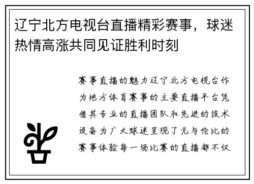 辽宁北方电视台直播精彩赛事，球迷热情高涨共同见证胜利时刻